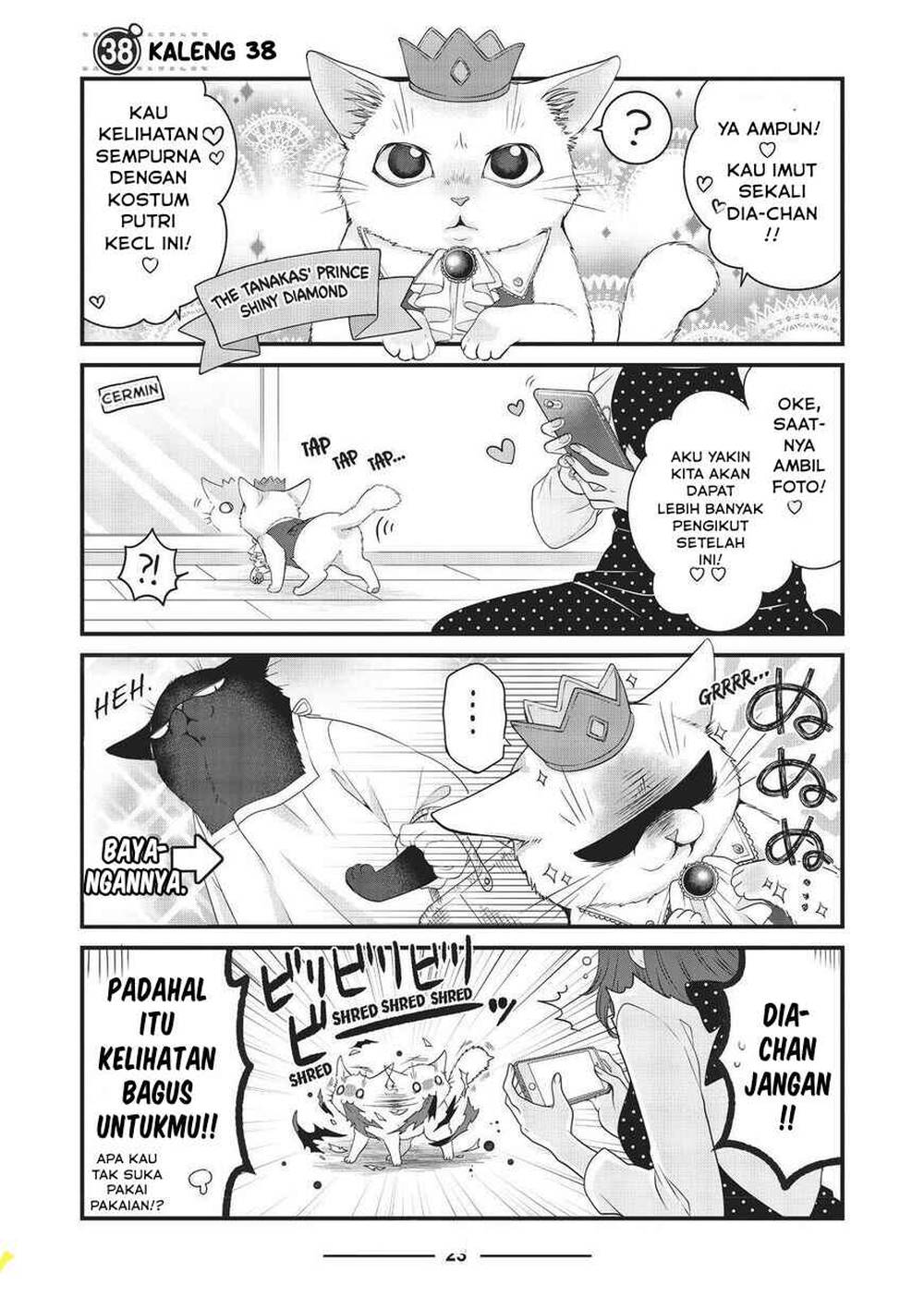 
              The Masterful Cat Is Depressed Again Today             Chapter 38