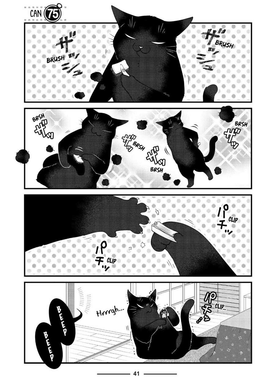 
              The Masterful Cat Is Depressed Again Today             Chapter 75