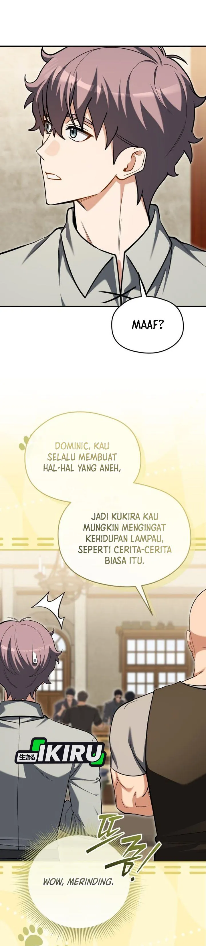 Panel 27