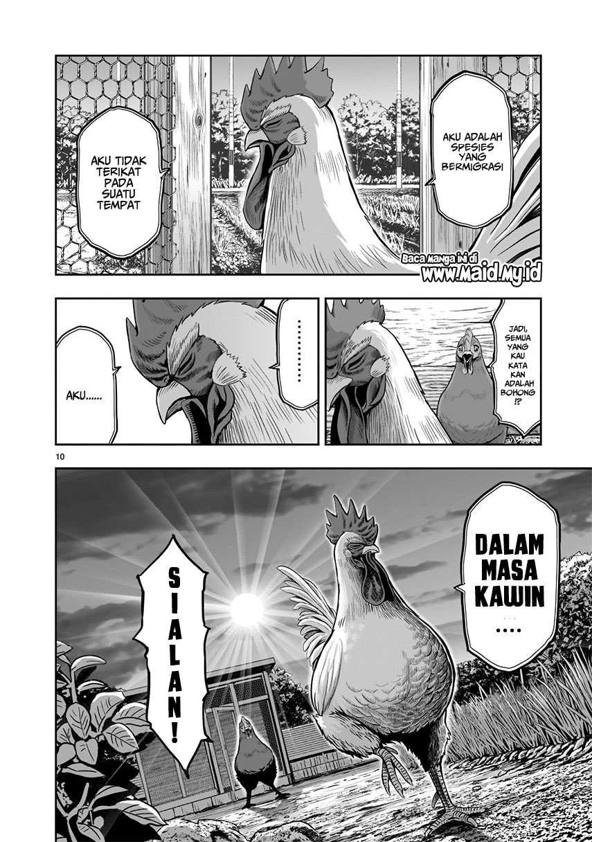 Rooster Fighter Chapter 01