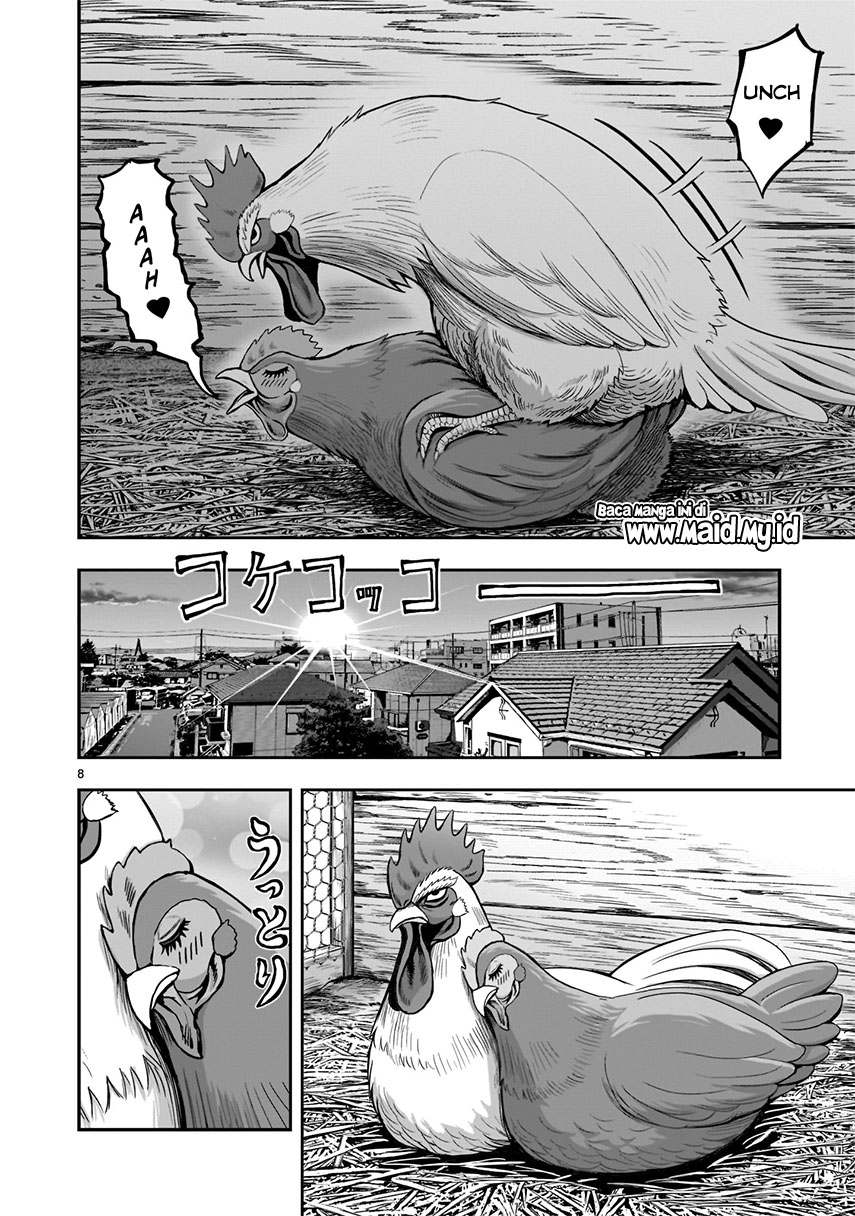 Rooster Fighter Chapter 01