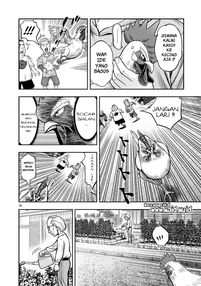 Rooster Fighter Chapter 01