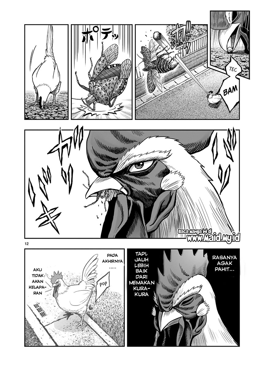 Rooster Fighter Chapter 01