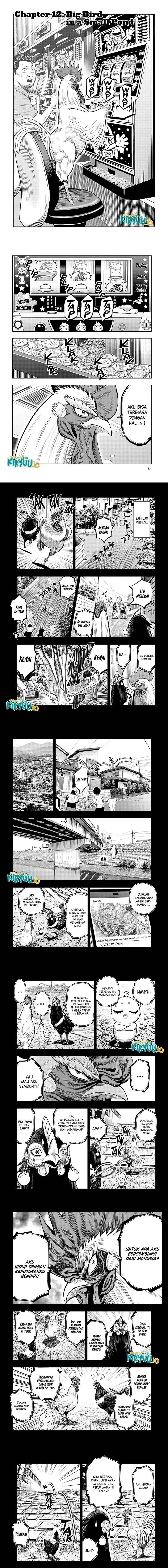 Rooster Fighter Chapter 12