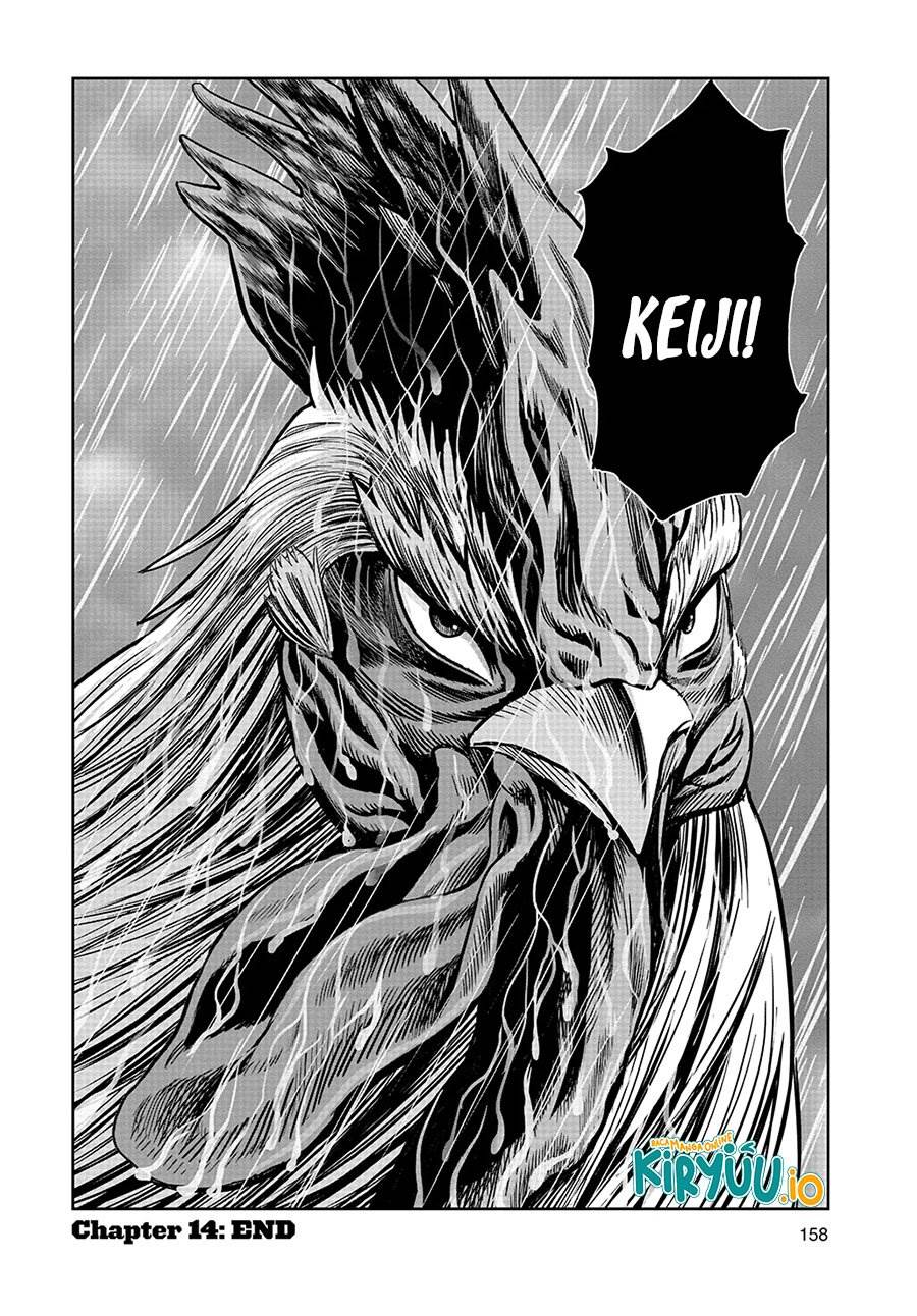 Rooster Fighter Chapter 14