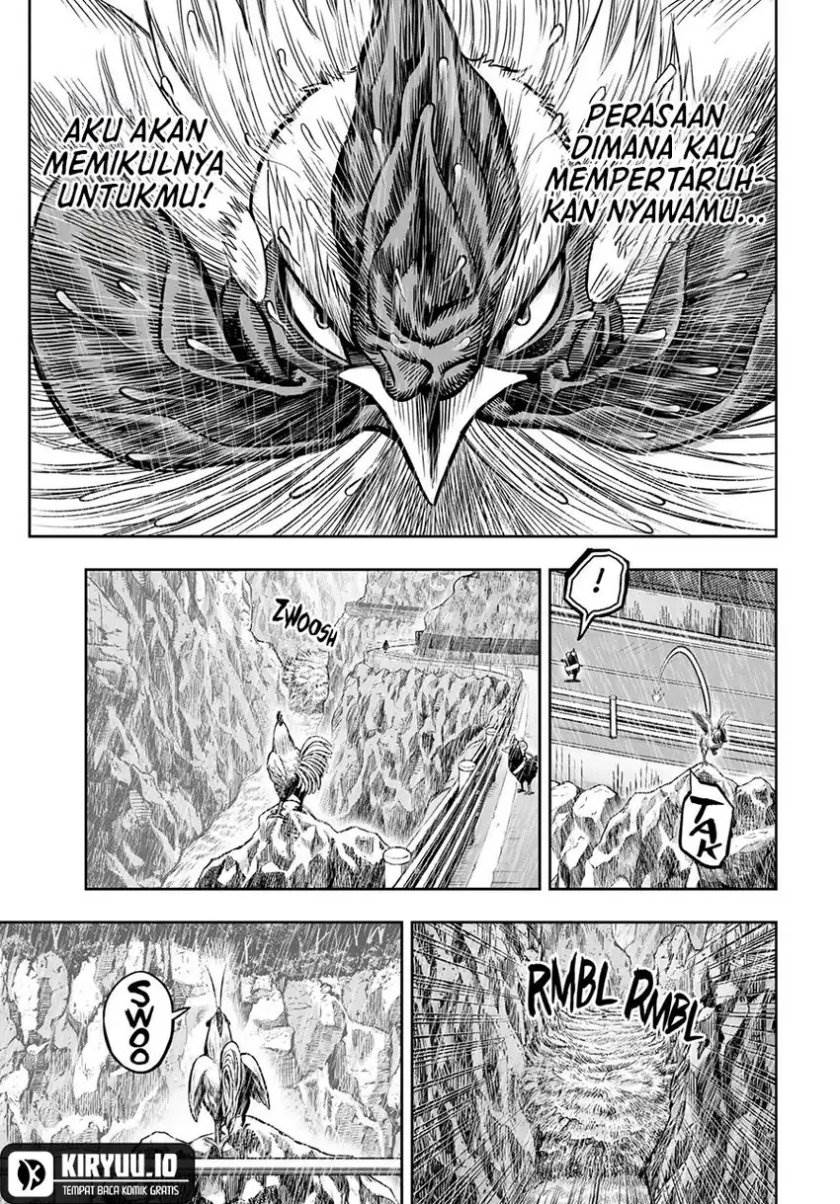 Rooster Fighter Chapter 15