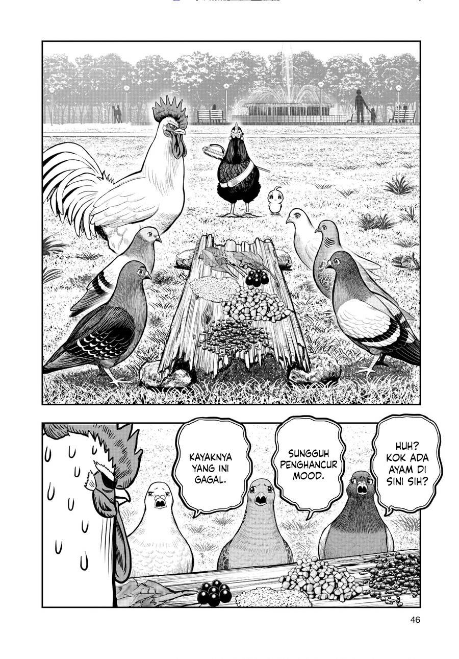 Rooster Fighter Chapter 17