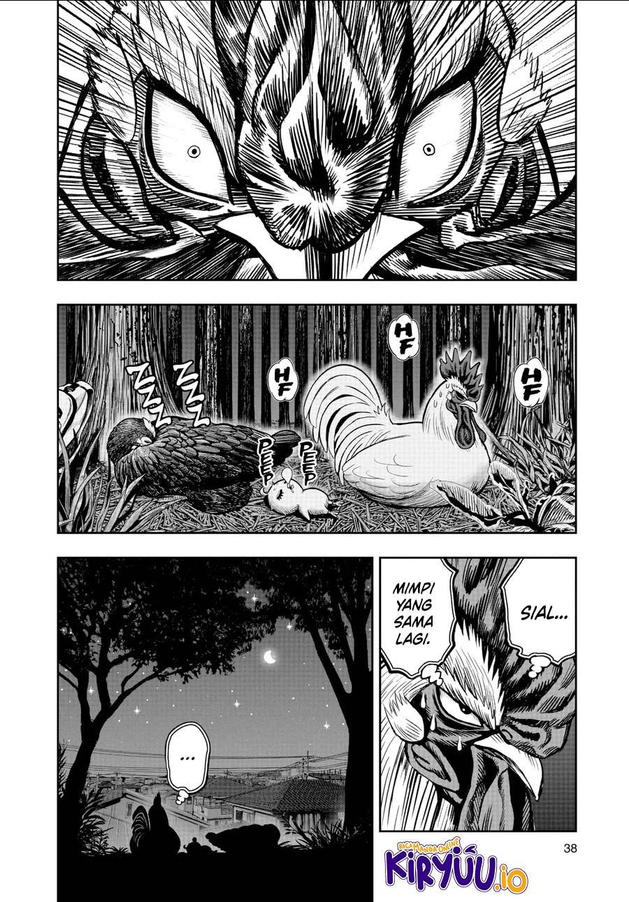 Rooster Fighter Chapter 17