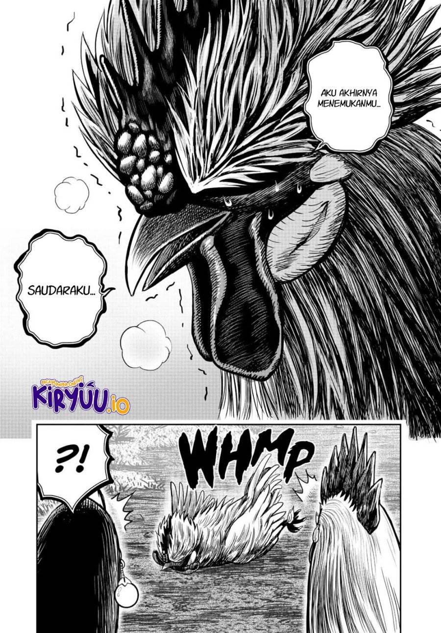 Rooster Fighter Chapter 18
