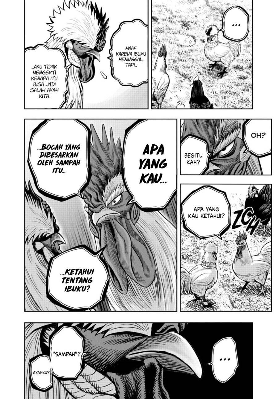 Rooster Fighter Chapter 19