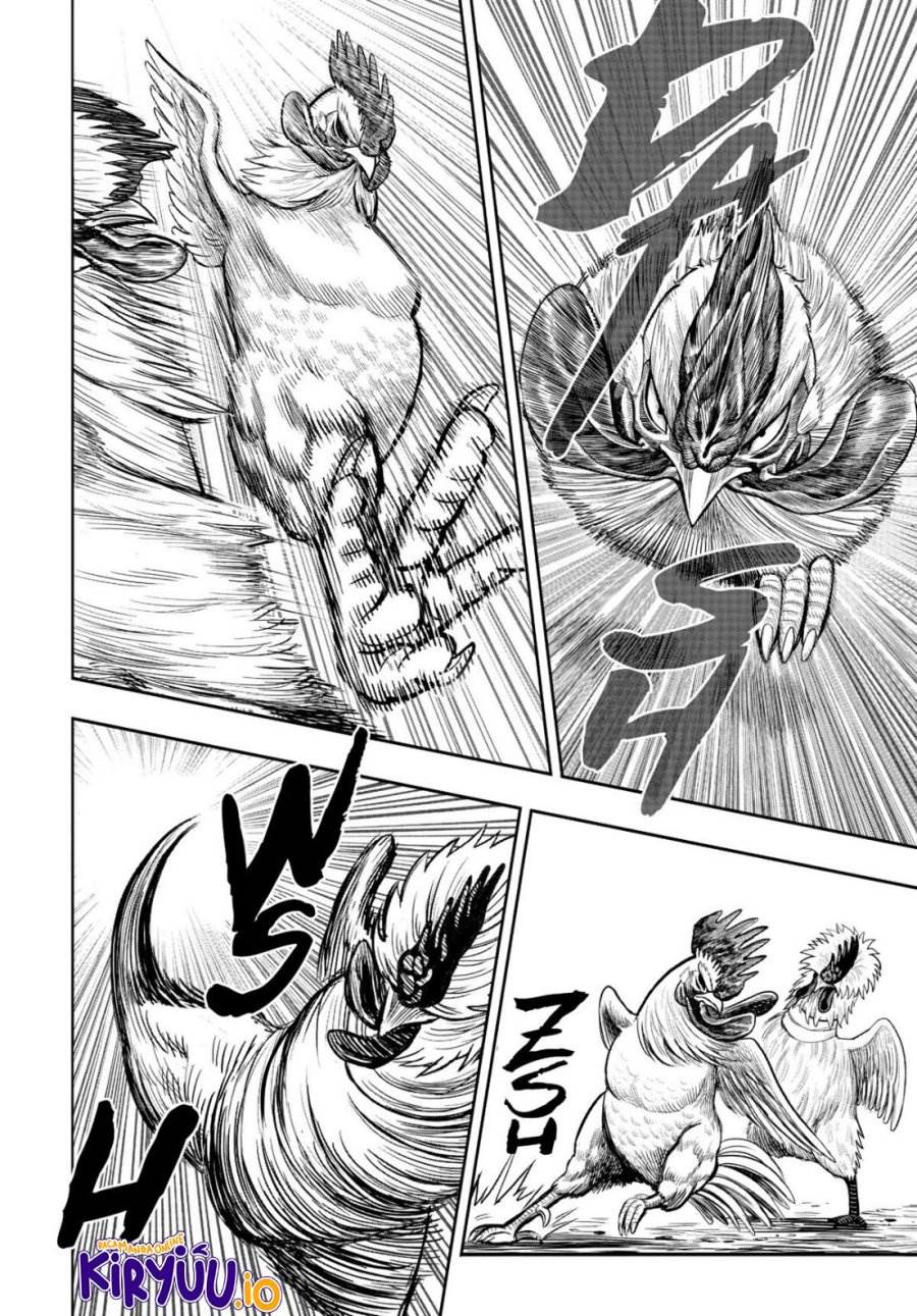 Rooster Fighter Chapter 19