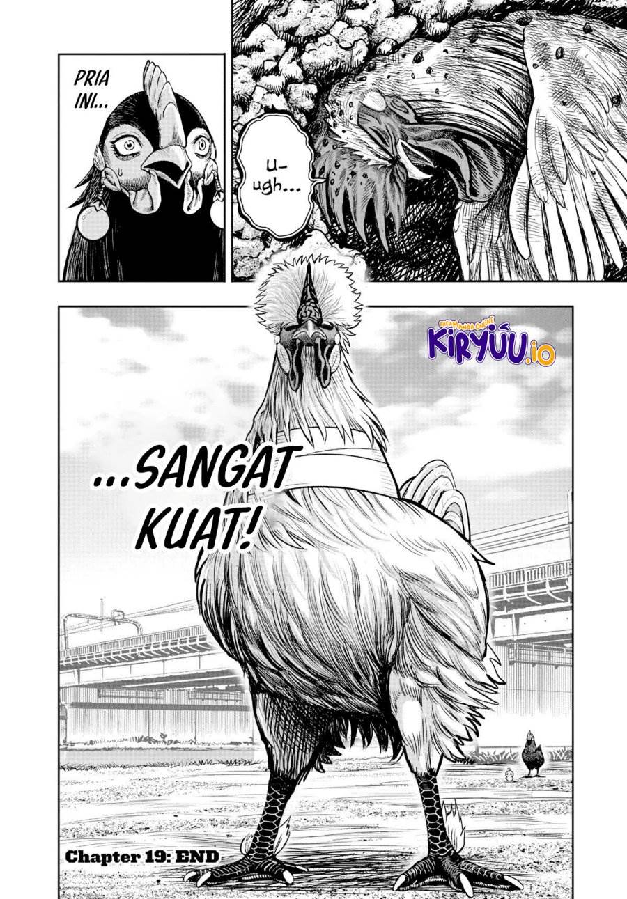 Rooster Fighter Chapter 19