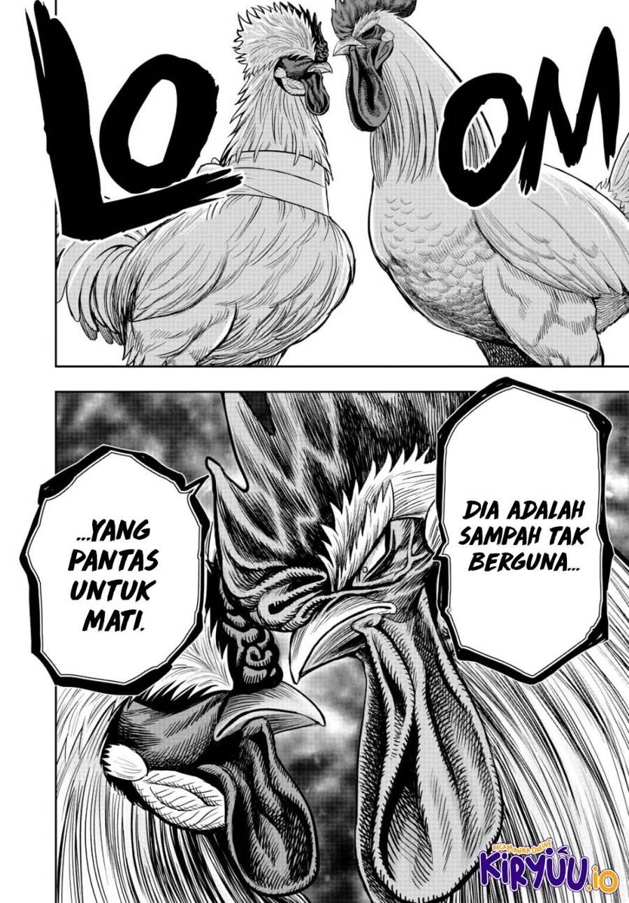 Rooster Fighter Chapter 19