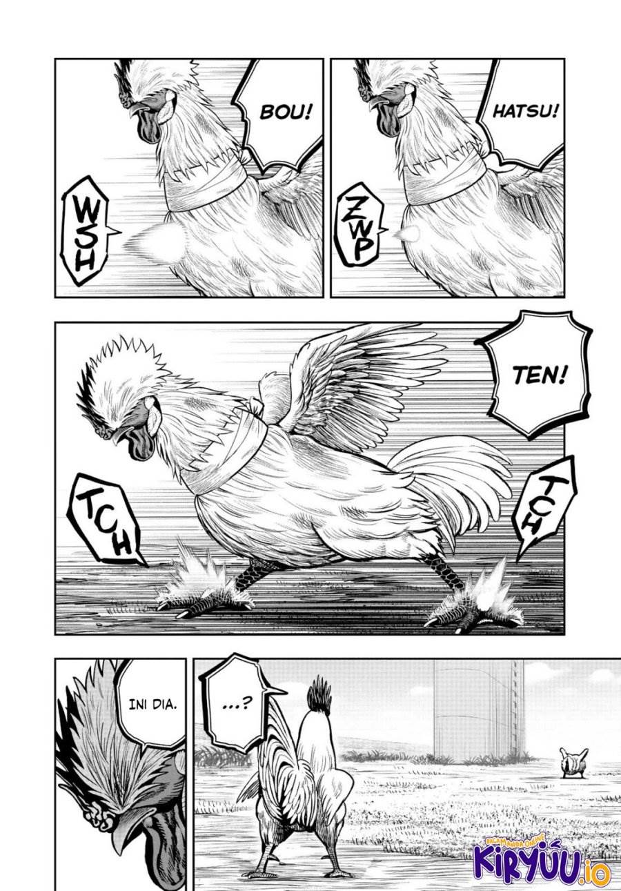 Rooster Fighter Chapter 19