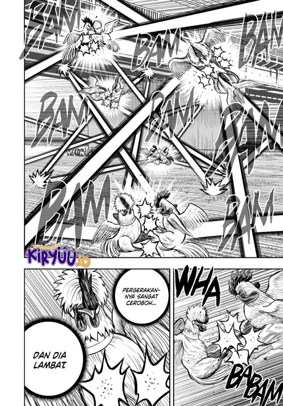 Rooster Fighter Chapter 19