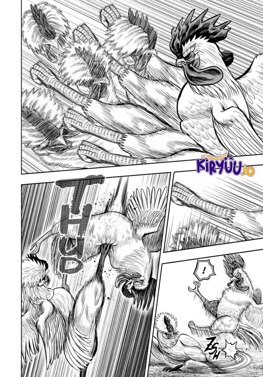 Rooster Fighter Chapter 19