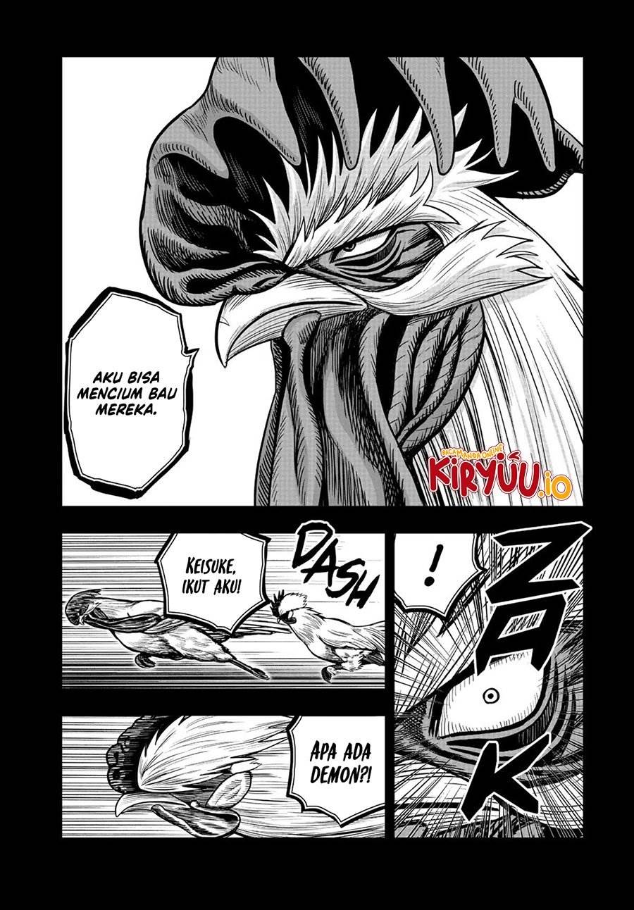Rooster Fighter Chapter 20