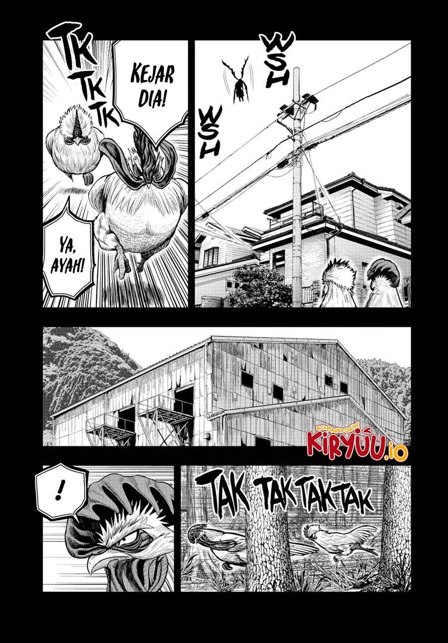 Rooster Fighter Chapter 20