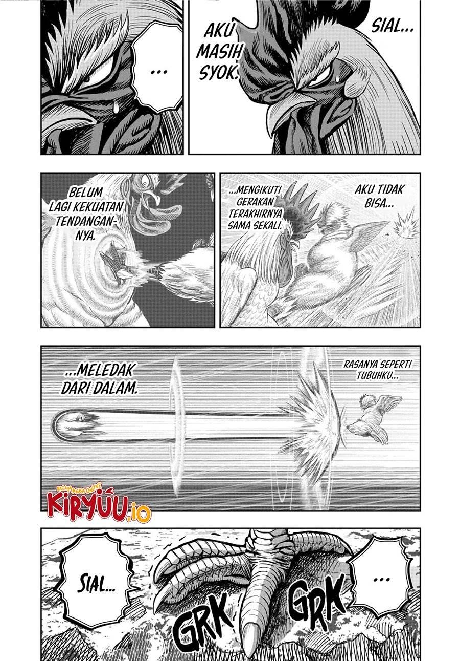Rooster Fighter Chapter 20
