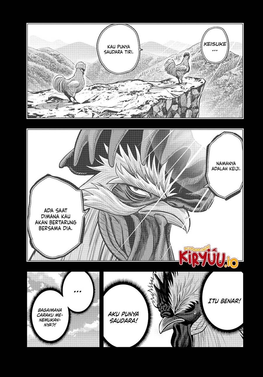 Rooster Fighter Chapter 20