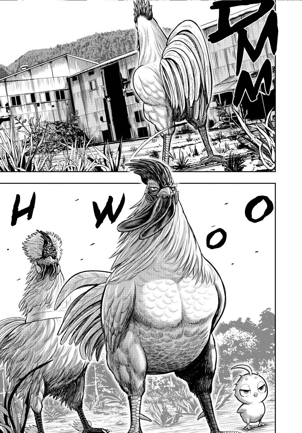 Rooster Fighter Chapter 21