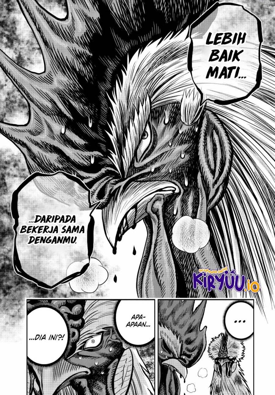 Rooster Fighter Chapter 24