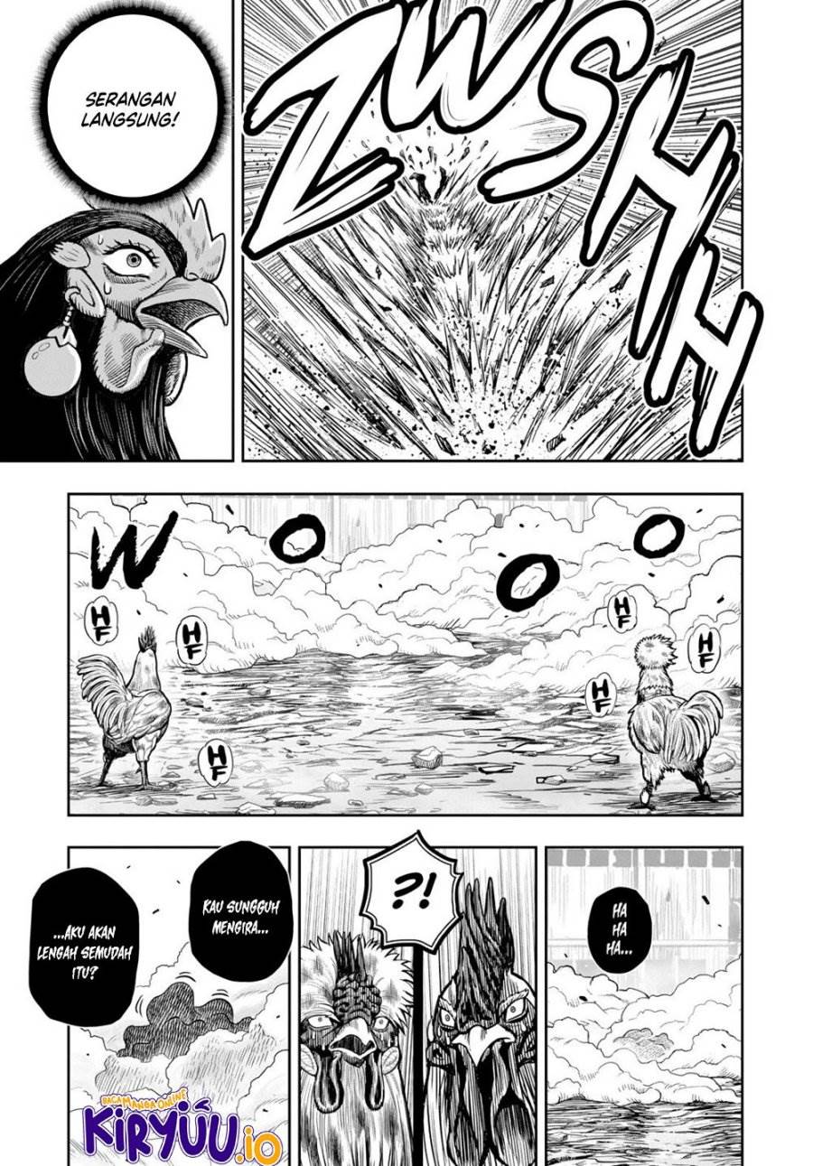 Rooster Fighter Chapter 25