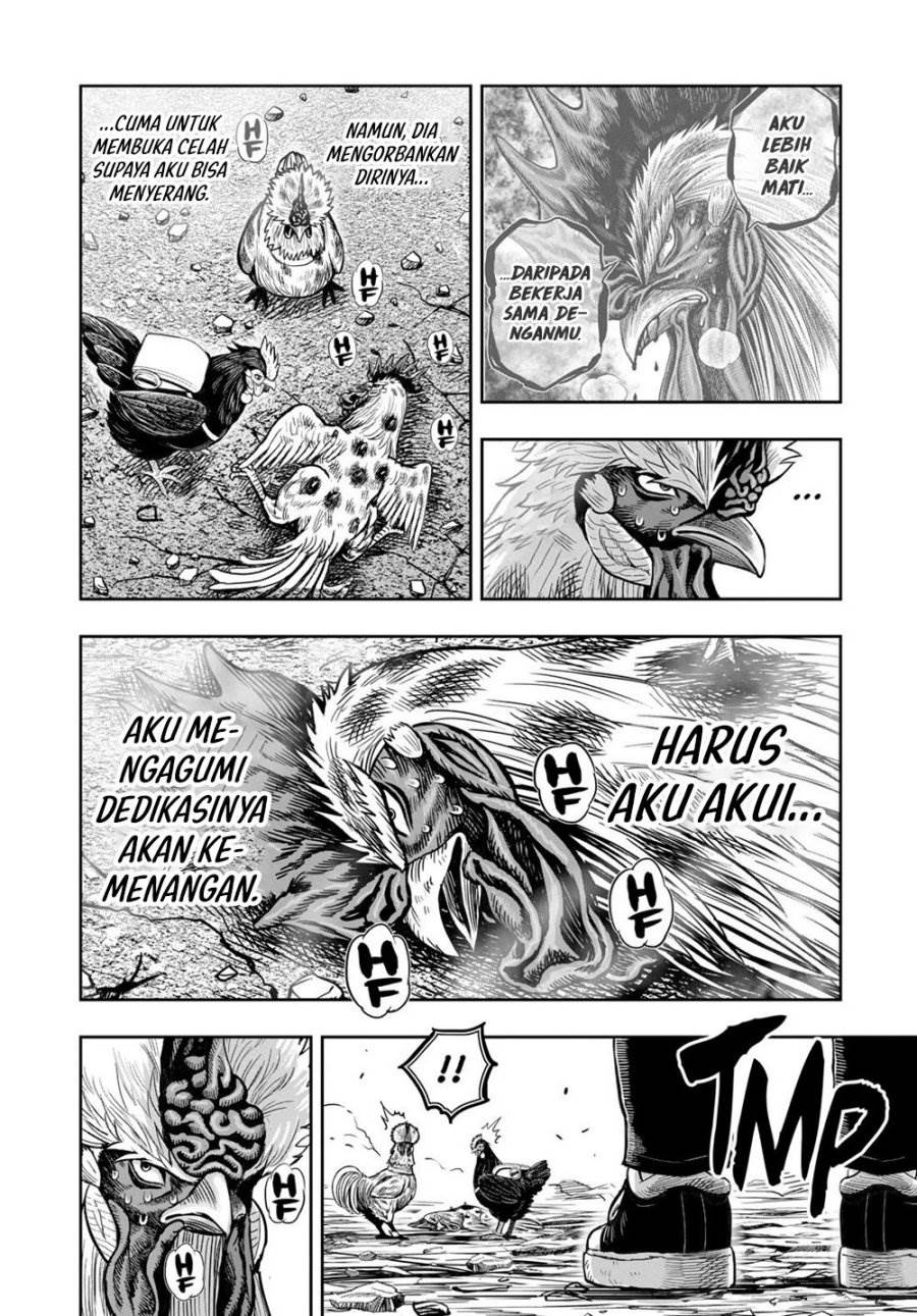 Rooster Fighter Chapter 25