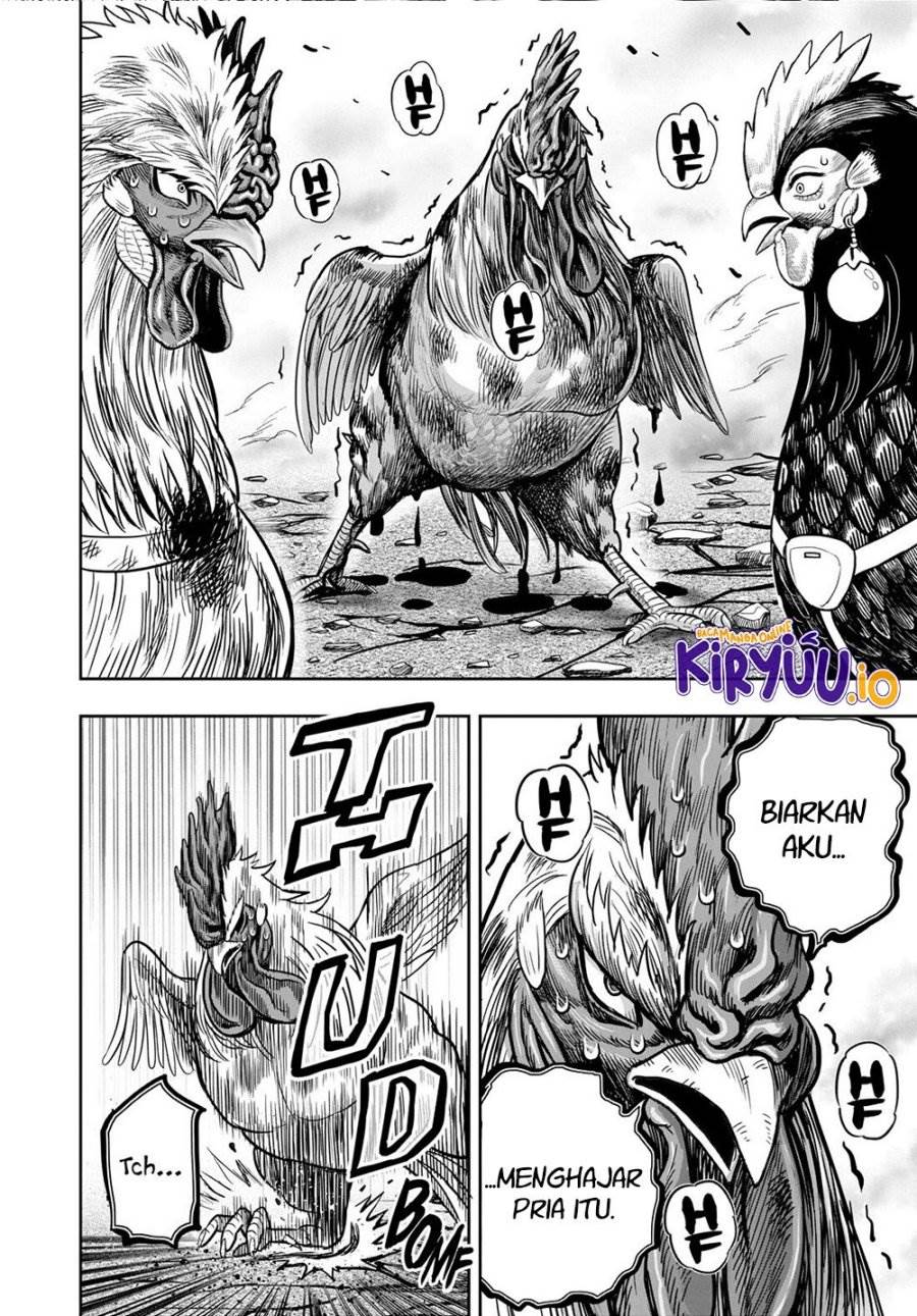 Rooster Fighter Chapter 26