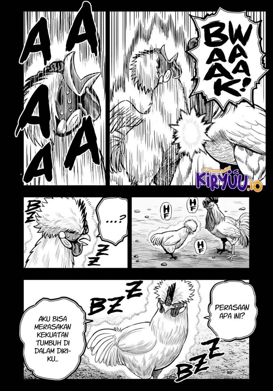 Rooster Fighter Chapter 26