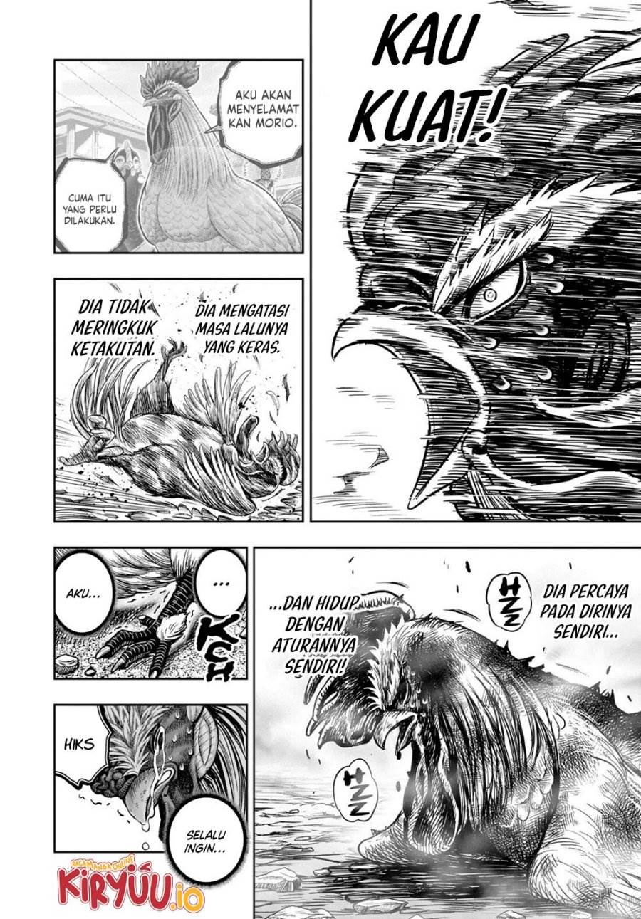 Rooster Fighter Chapter 27