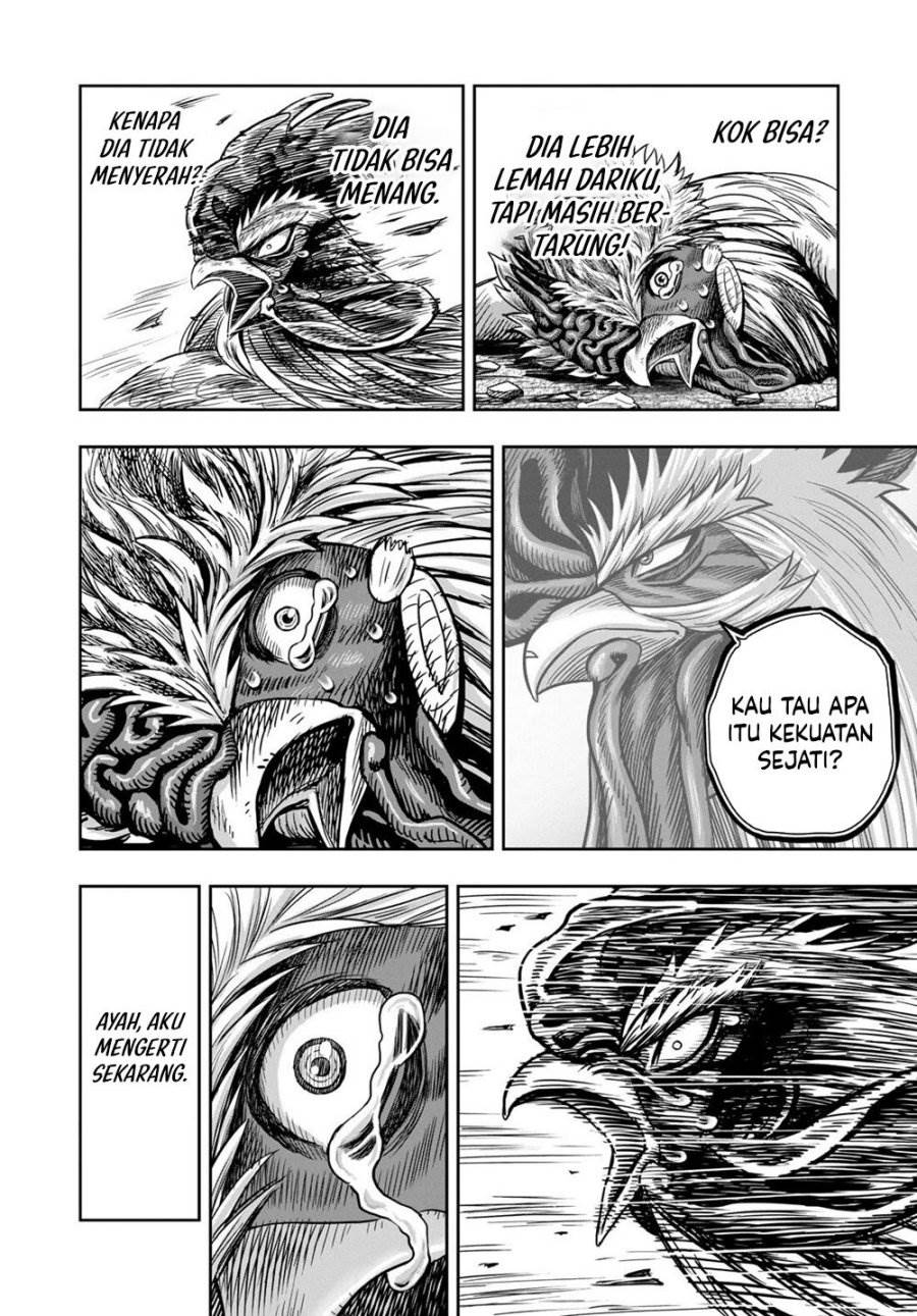 Rooster Fighter Chapter 27