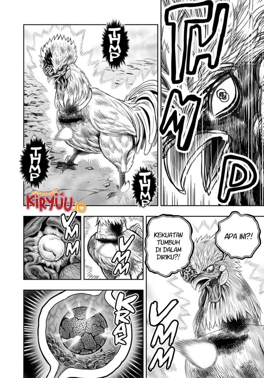 Rooster Fighter Chapter 27