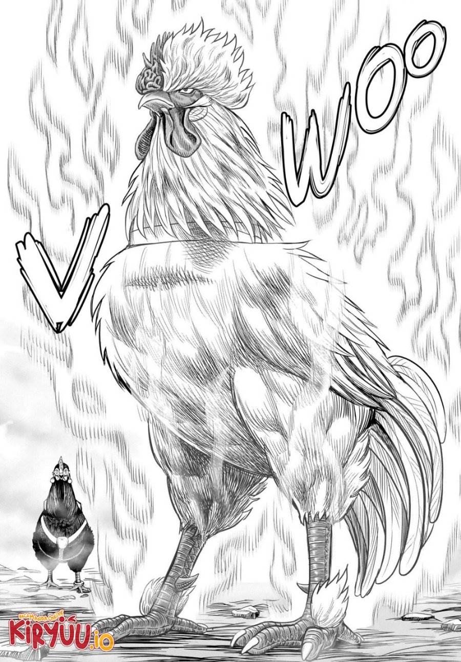 Rooster Fighter Chapter 27