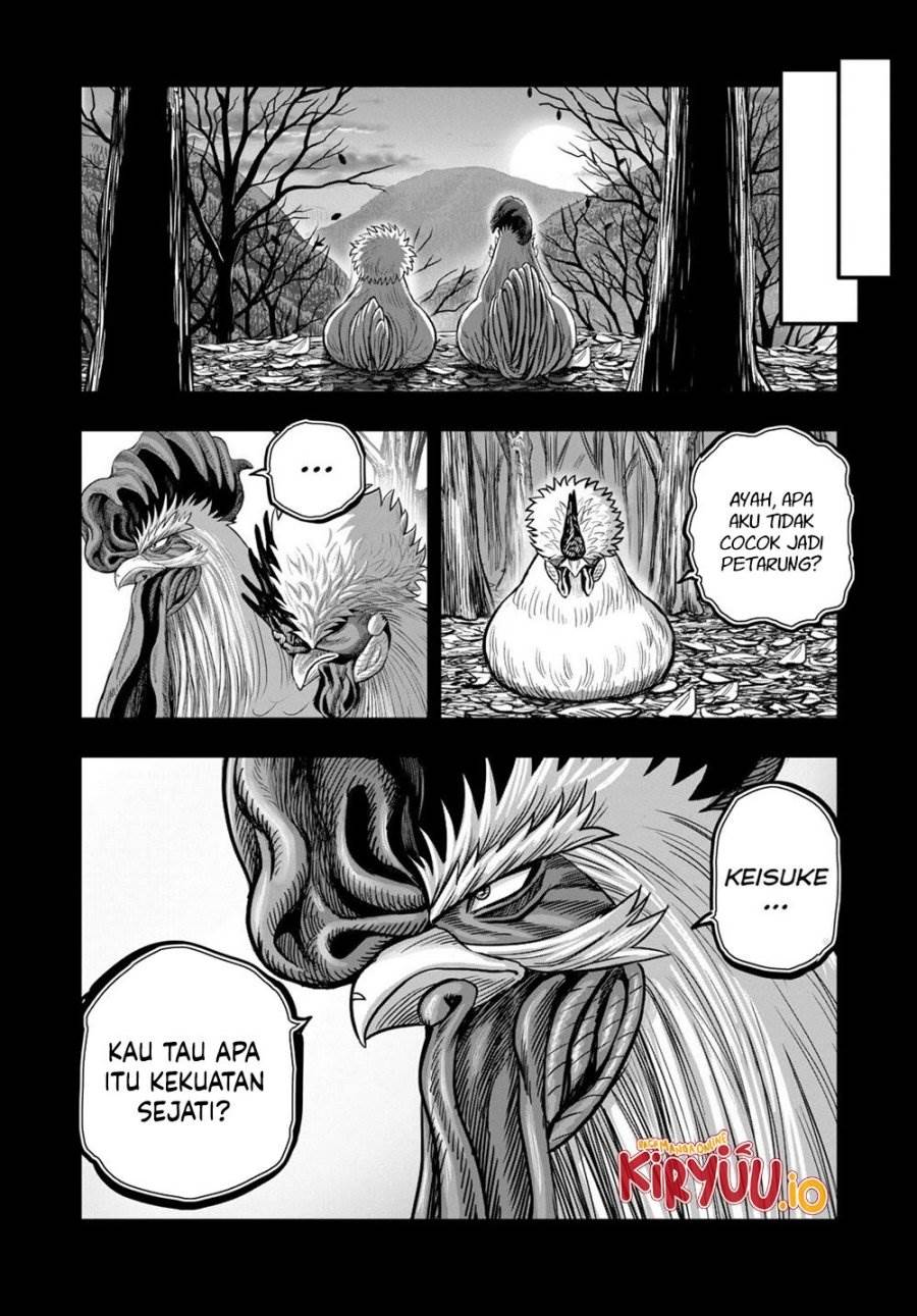 Rooster Fighter Chapter 27