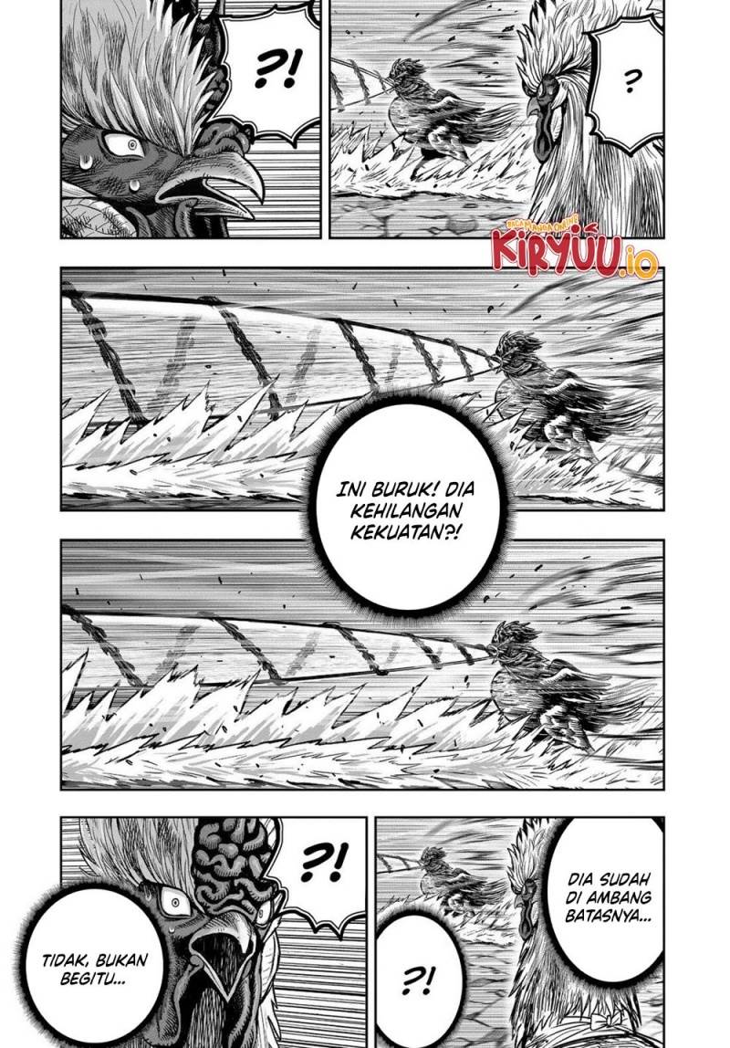 Rooster Fighter Chapter 29
