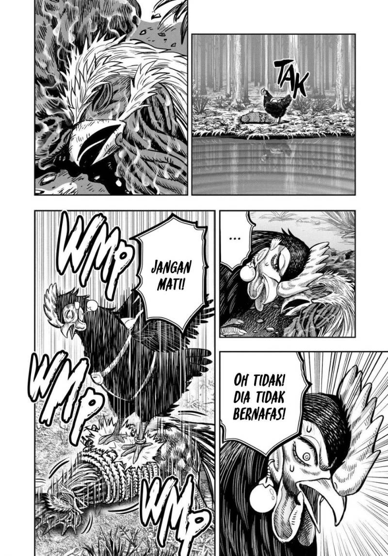 Rooster Fighter Chapter 29