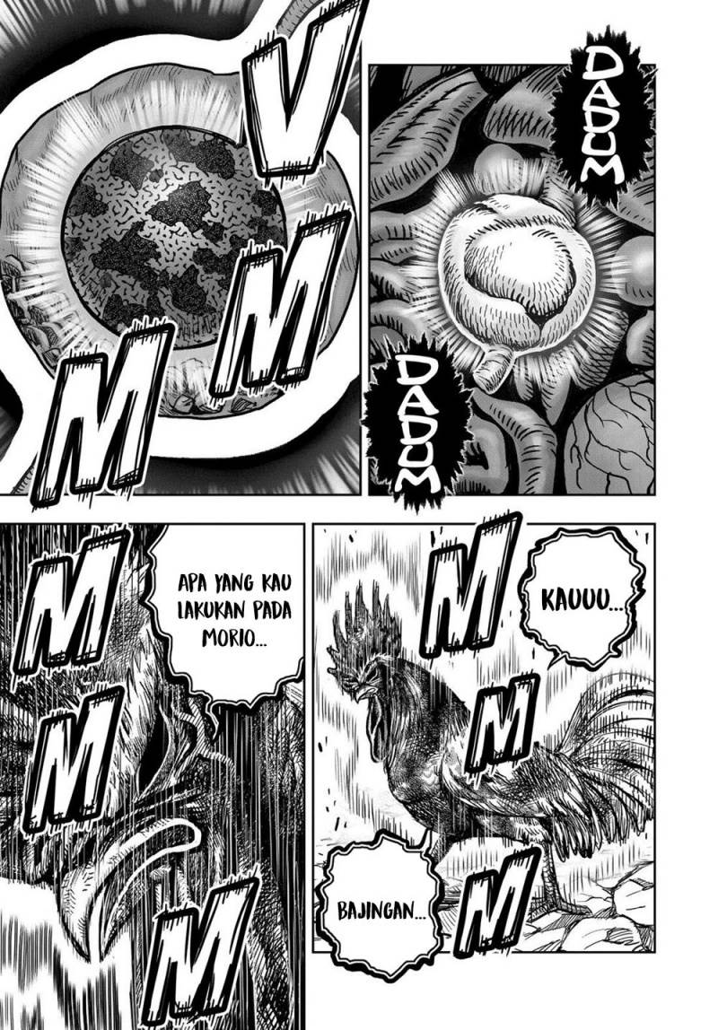 Rooster Fighter Chapter 29
