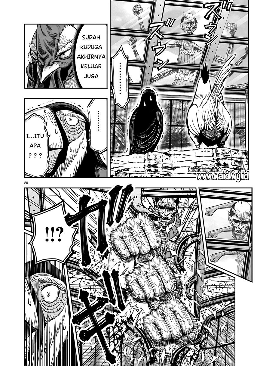 Rooster Fighter Chapter 03