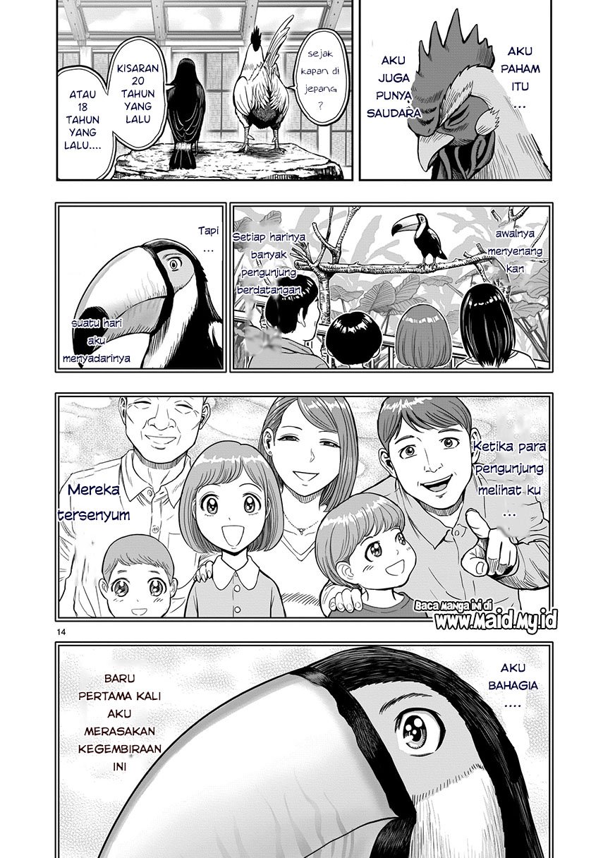 Rooster Fighter Chapter 03