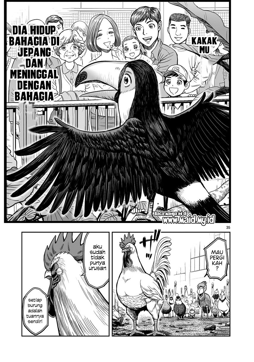 Rooster Fighter Chapter 03