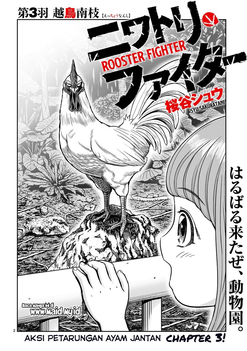 Rooster Fighter Chapter 03
