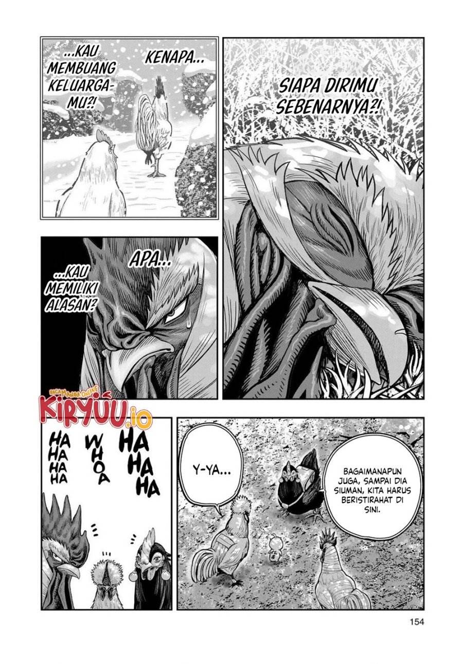 Rooster Fighter Chapter 31