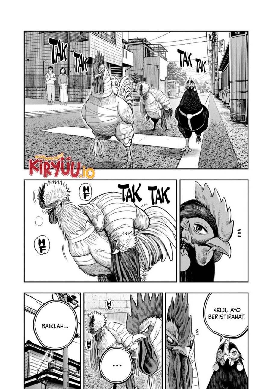 Rooster Fighter Chapter 31