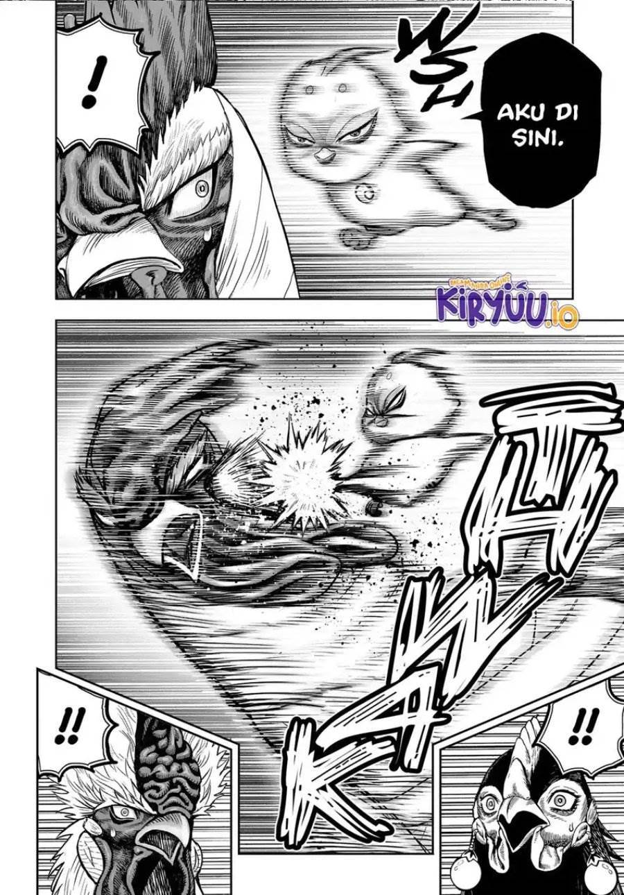 Rooster Fighter Chapter 33