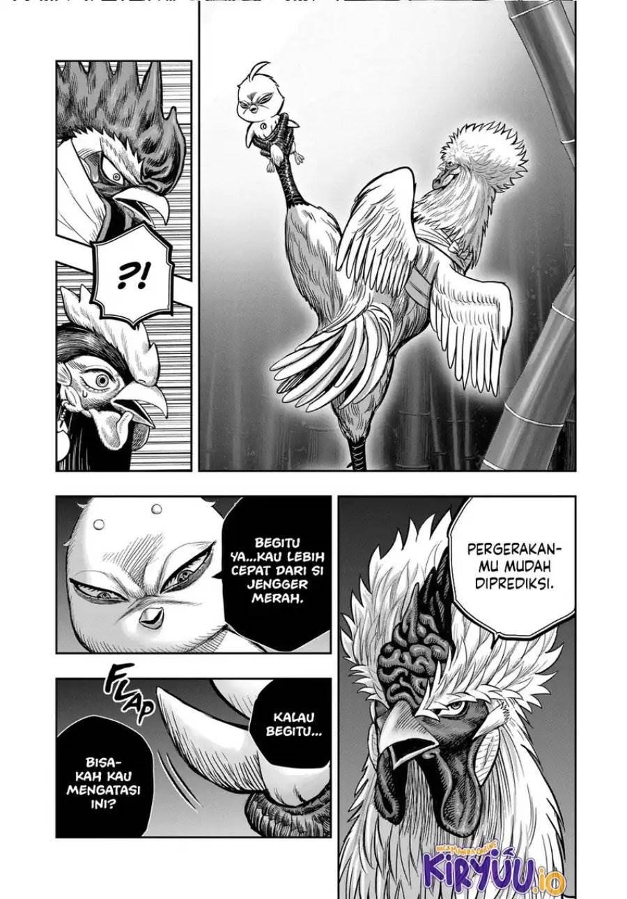 Rooster Fighter Chapter 33