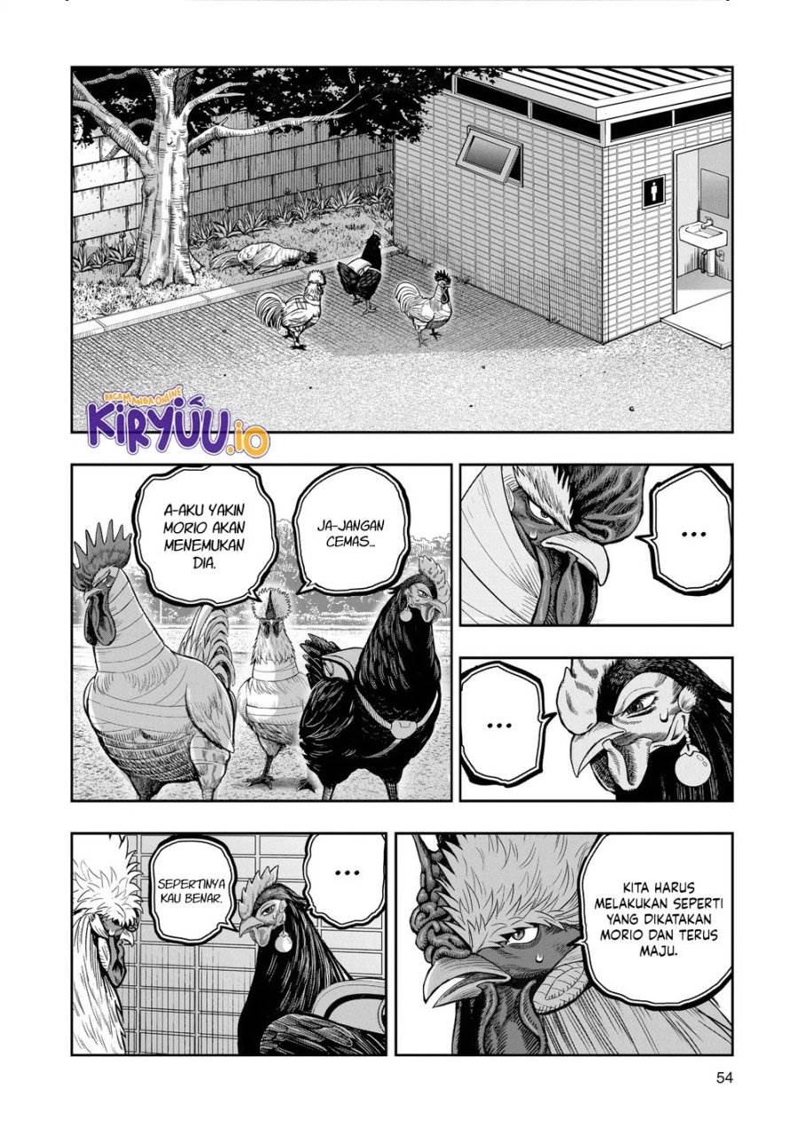 Rooster Fighter Chapter 34