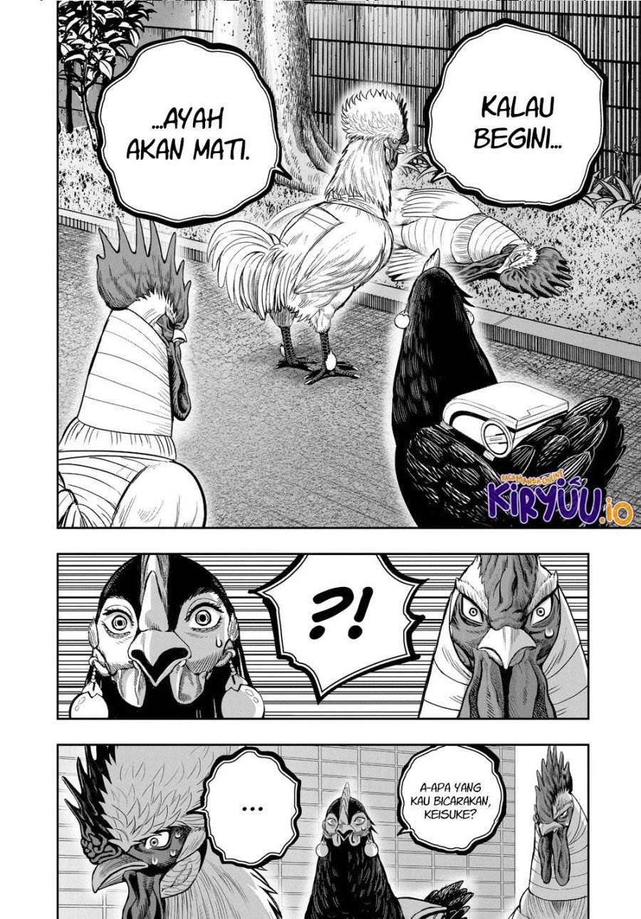 Rooster Fighter Chapter 34