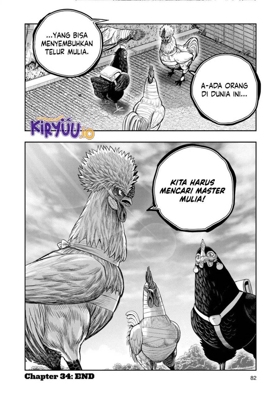 Rooster Fighter Chapter 34