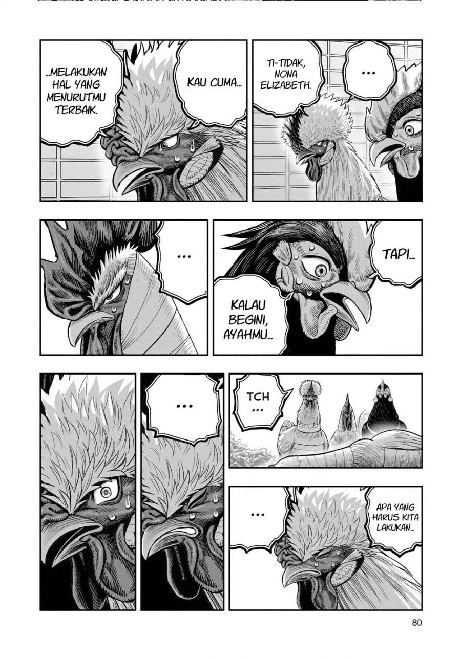 Rooster Fighter Chapter 34